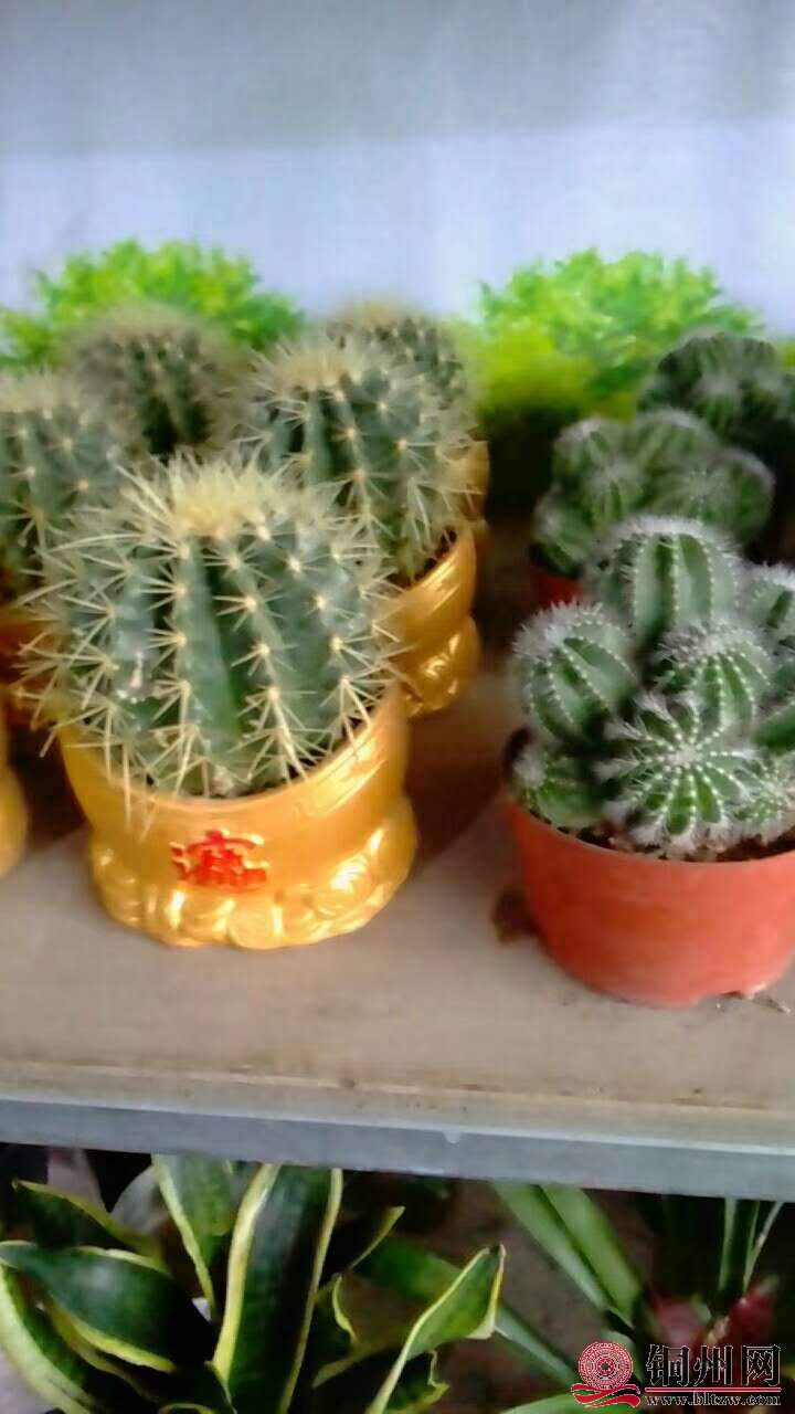 wechat_upload15706147205d9dadc0bda42