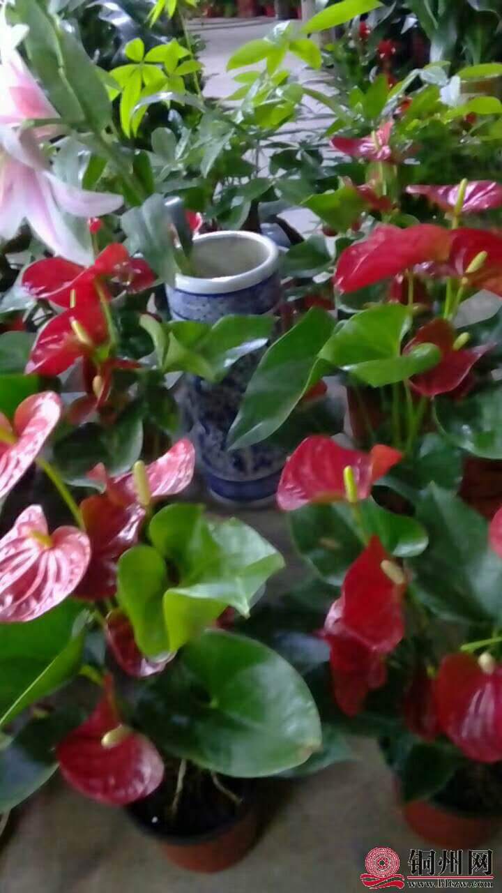 wechat_upload15706147205d9dadc003564