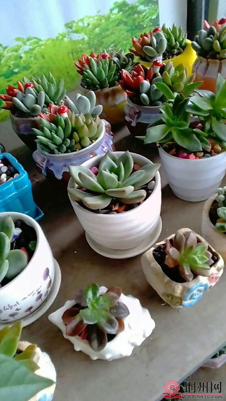 wechat_upload15706147215d9dadc1d92b9