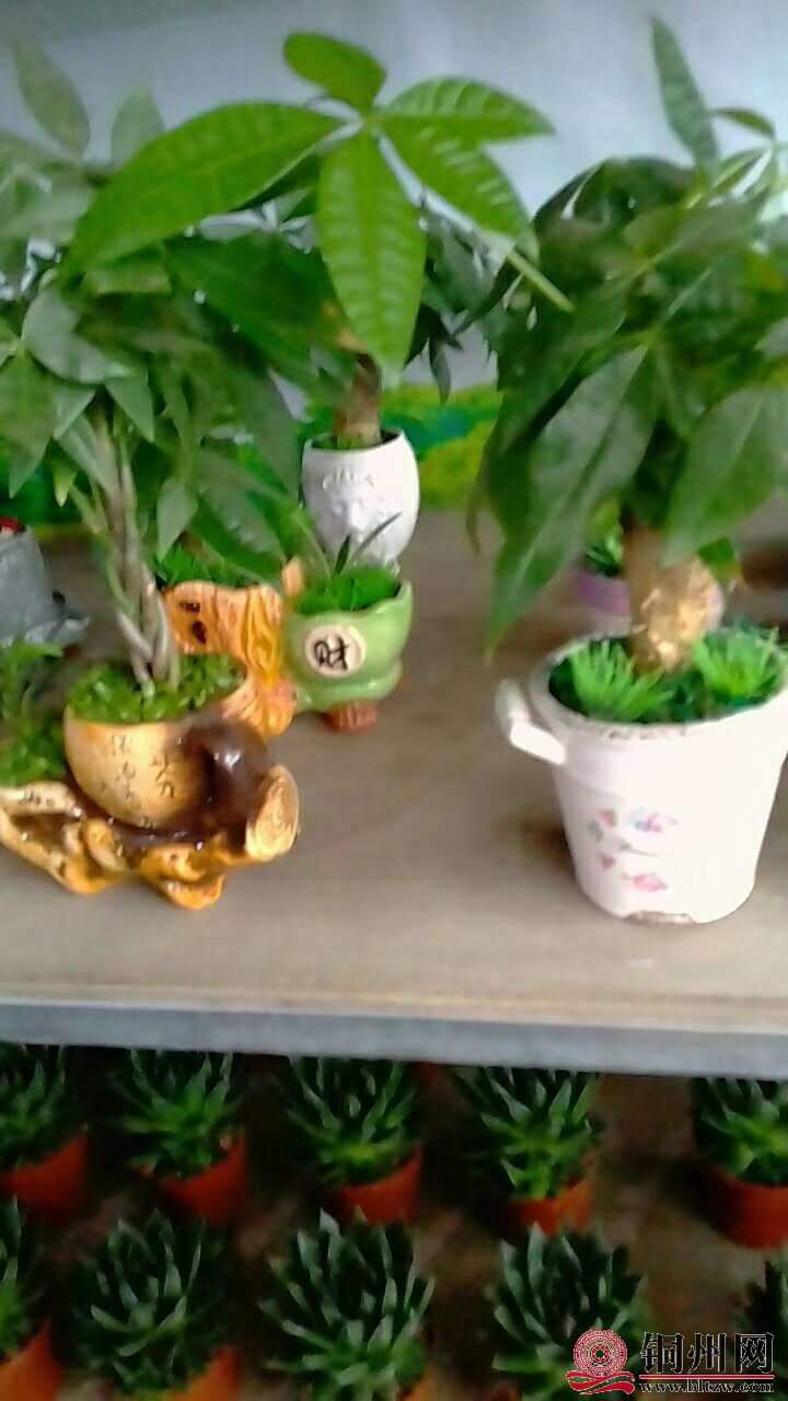 wechat_upload15706147215d9dadc185941