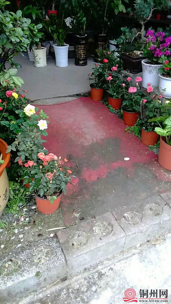 wechat_upload15706147235d9dadc322aa5