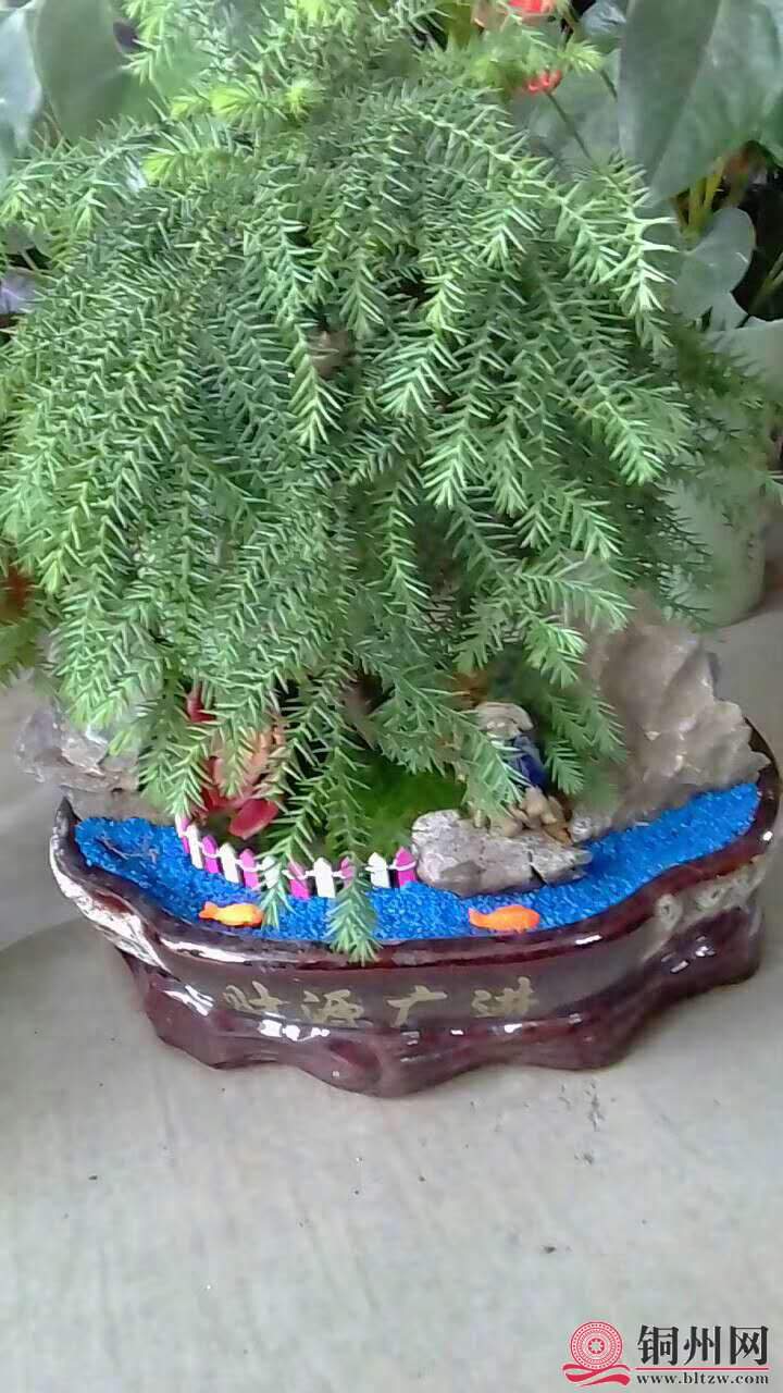 wechat_upload15706147705d9dadf2a1655