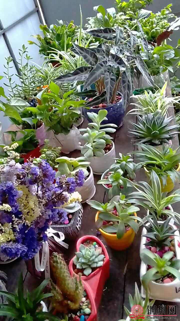 wechat_upload15706147705d9dadf23659b