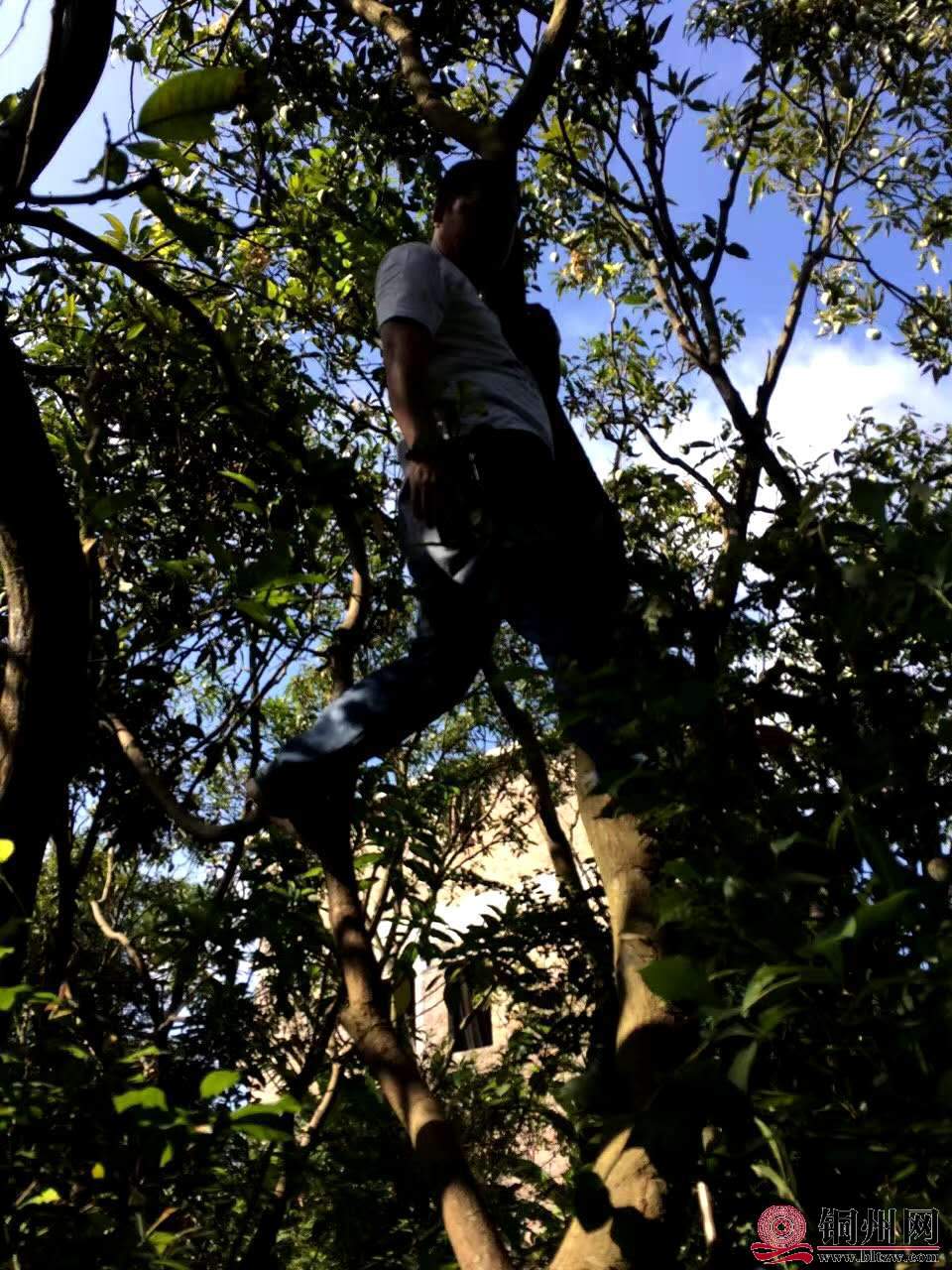 wechat_upload15727610435dbe6dd33bb10