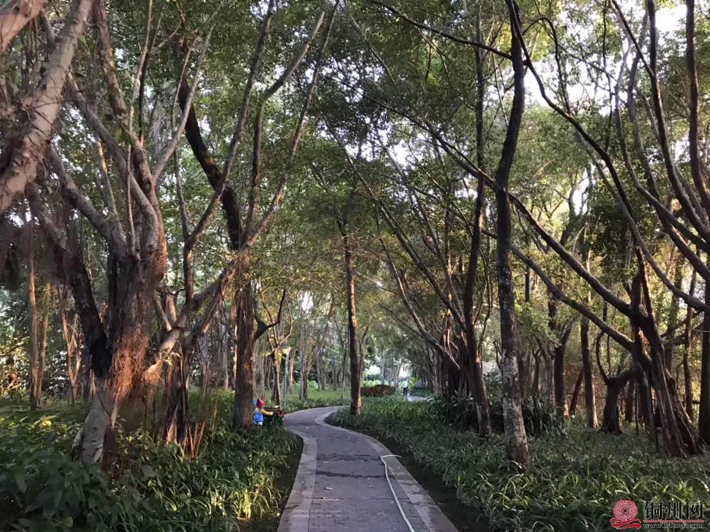 wechat_upload15763144215df4a635c67c0