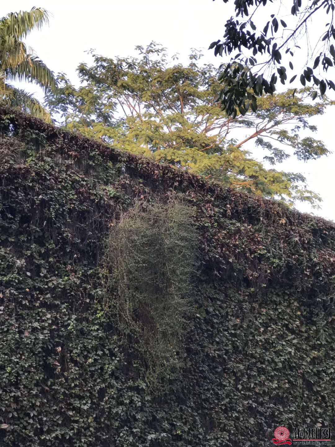 wechat_upload15763144785df4a66eadd42