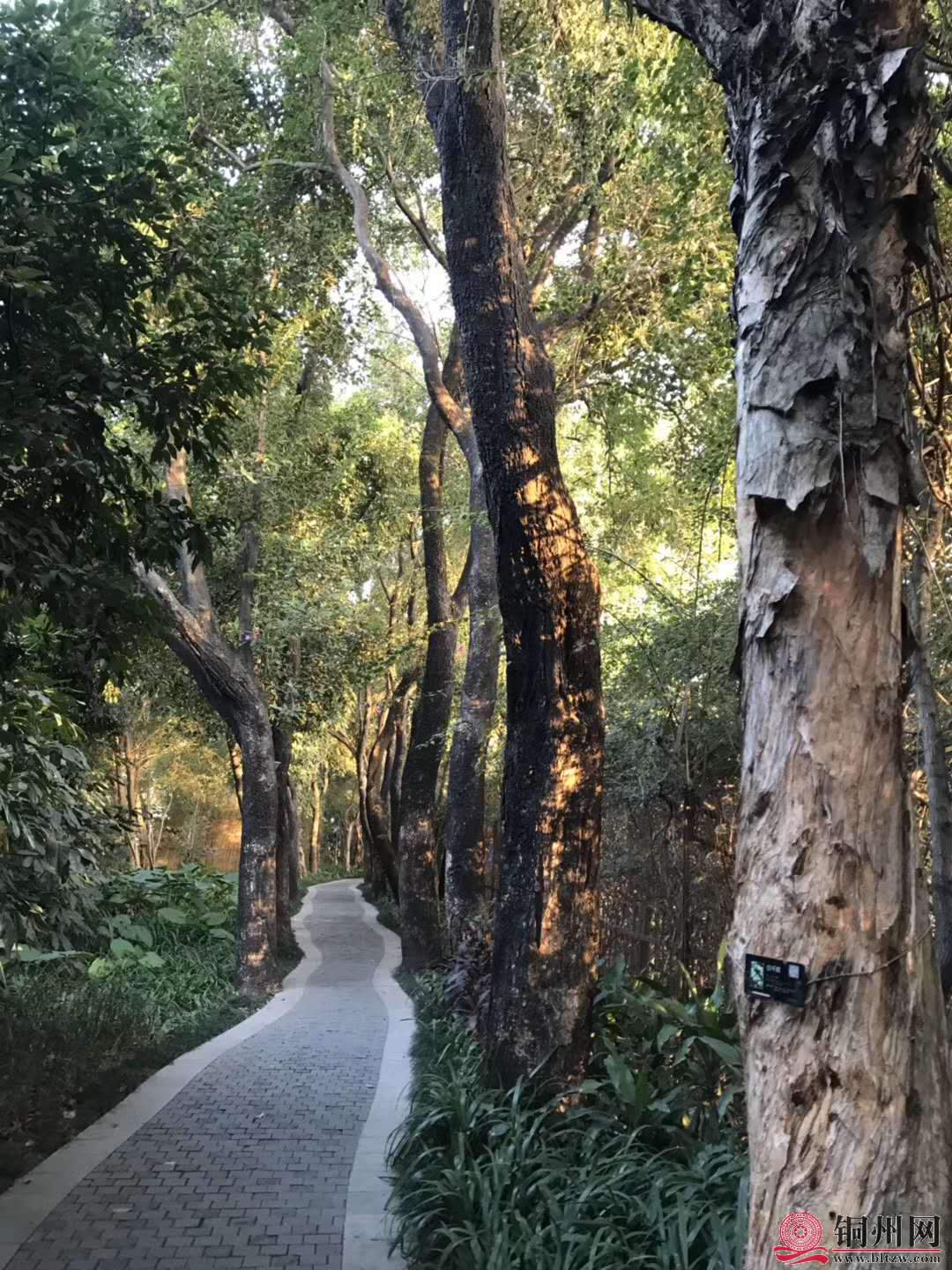 wechat_upload15763144795df4a66fcfe86