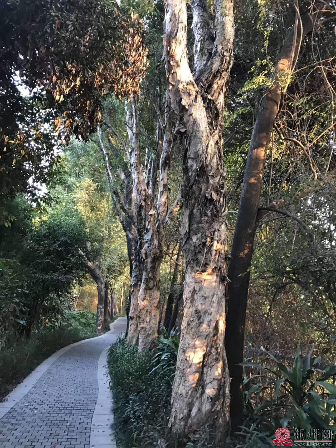 wechat_upload15763144795df4a66f434ca