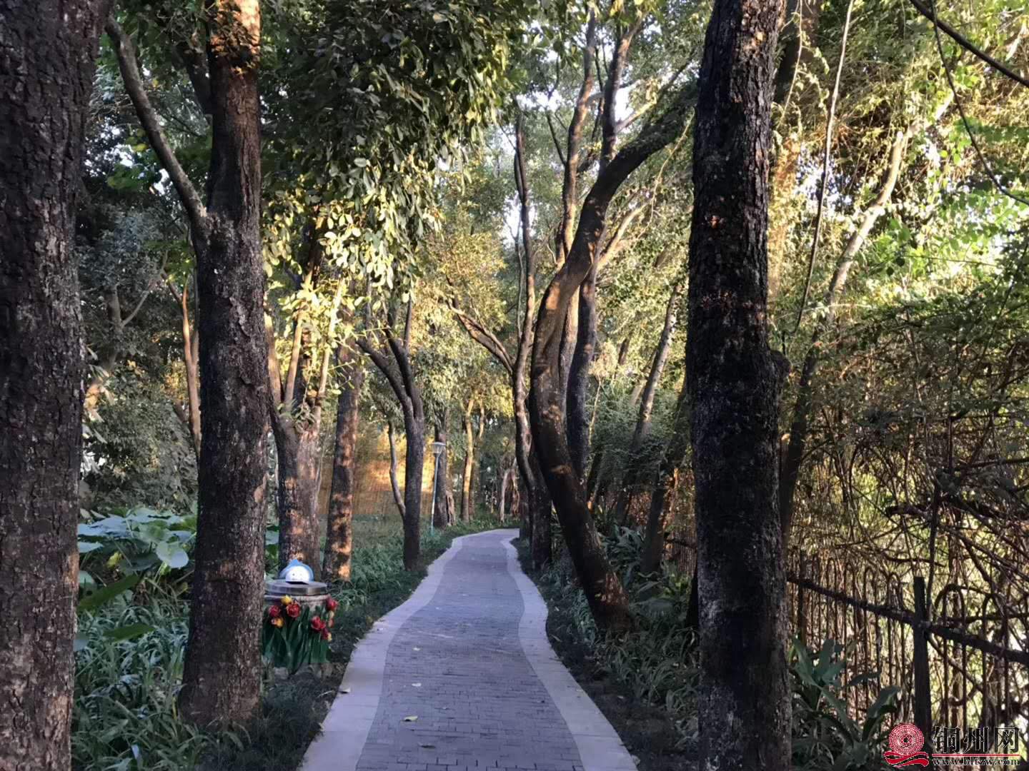 wechat_upload15763144805df4a6707aa81