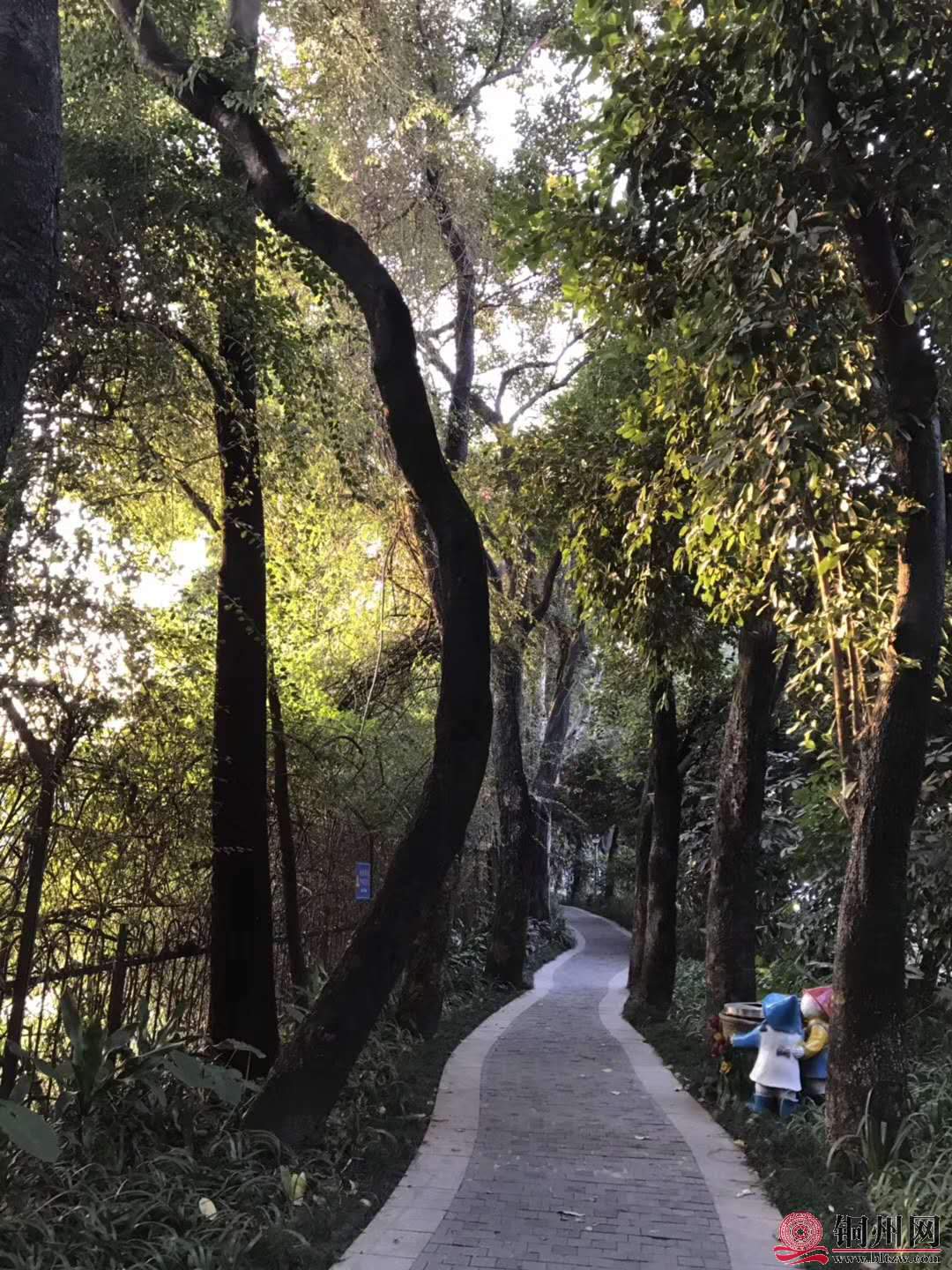 wechat_upload15763144815df4a671200de