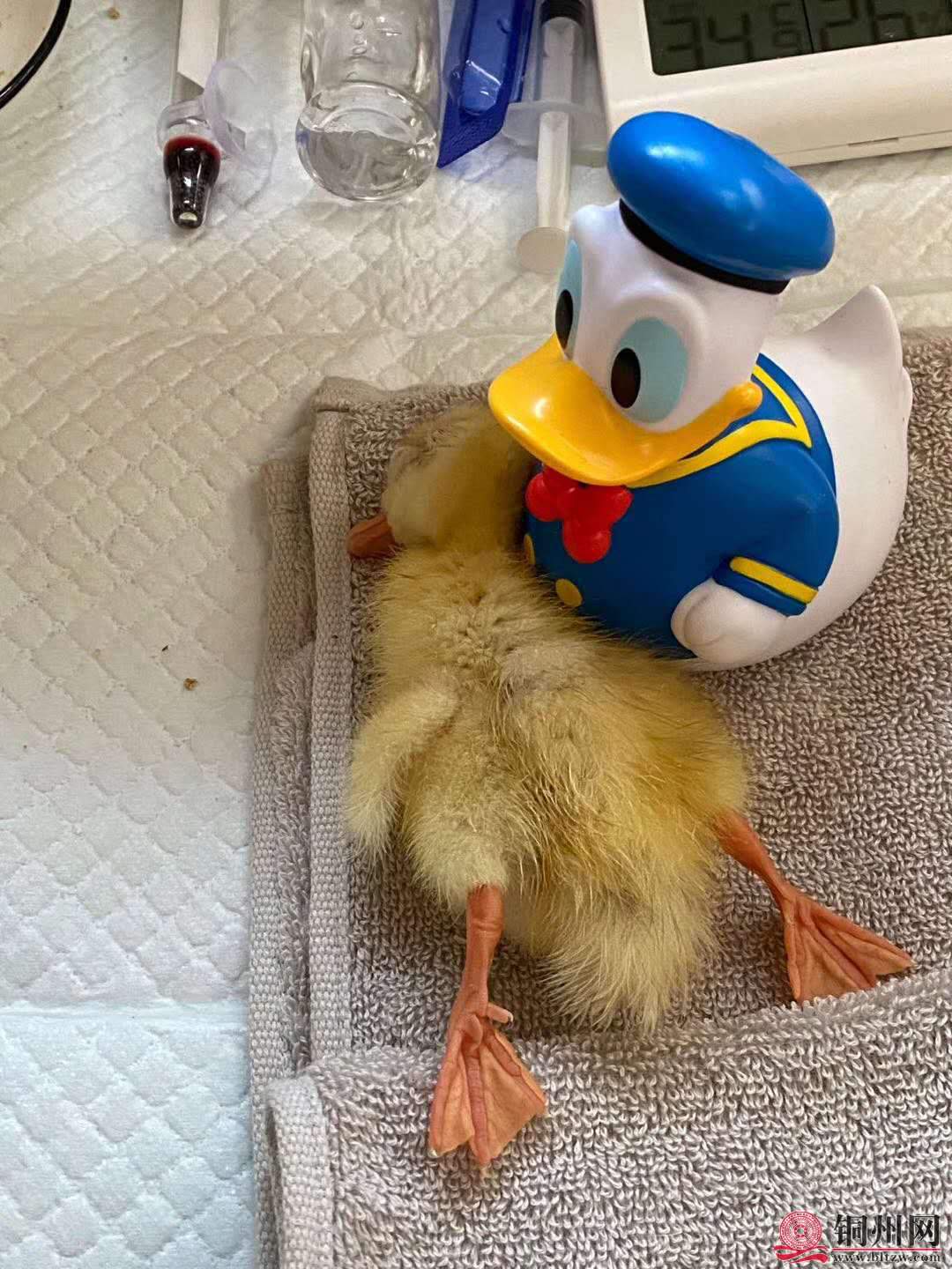 wechat_upload15844623105e70f9e60390c