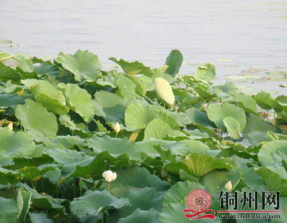 wechat_upload15906224575ecef8f9159ee