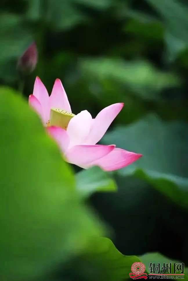 wechat_upload15906225035ecef92799eaf