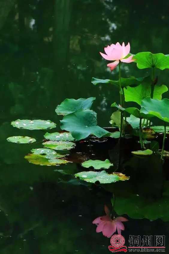 wechat_upload15906225035ecef927e4fff