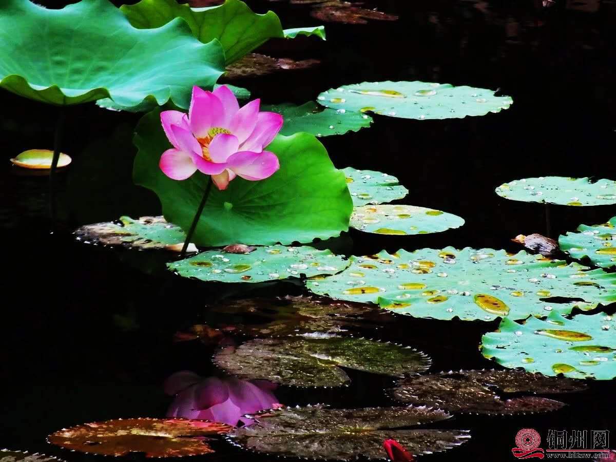 wechat_upload15906225045ecef9284e51c