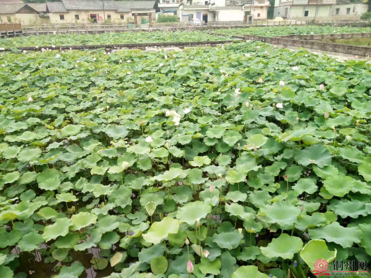 wechat_upload15906228095ecefa5940a0d