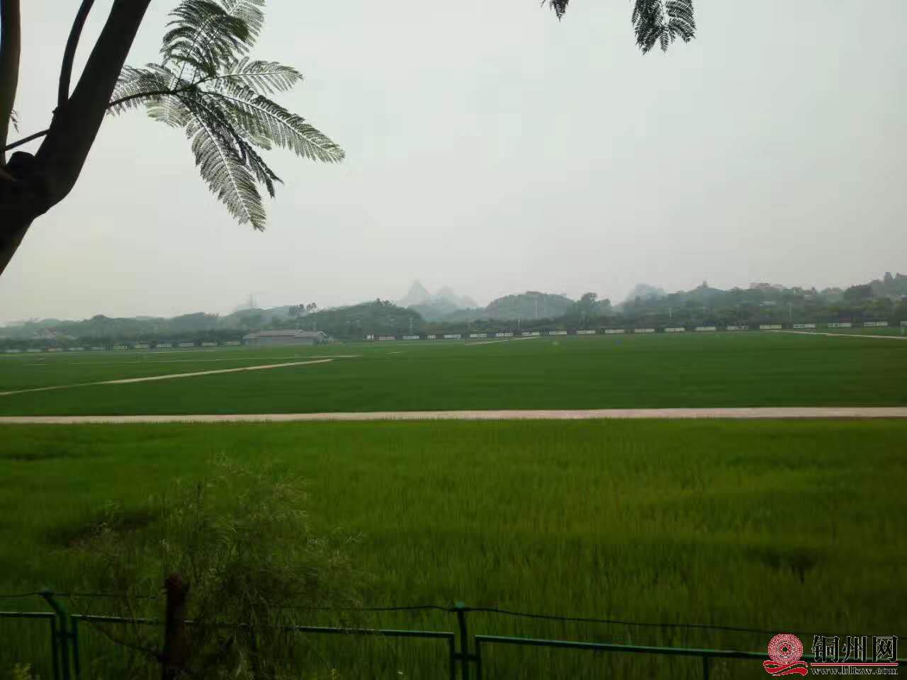 wechat_upload15906228095ecefa599f4f9