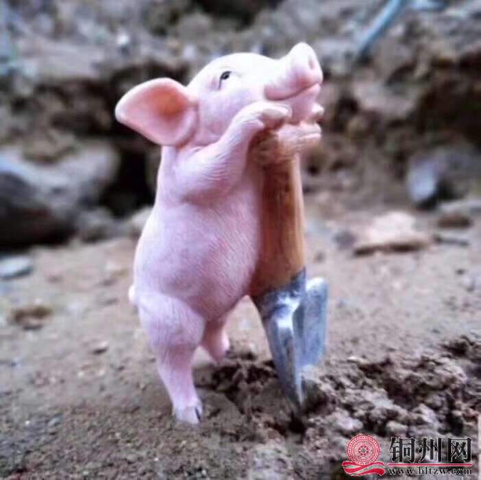 wechat_upload15910365965ed54ab45317b