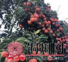 wechat_upload15927831305eeff11aabd36