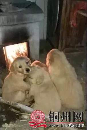 wechat_upload17123734366610bebce6008