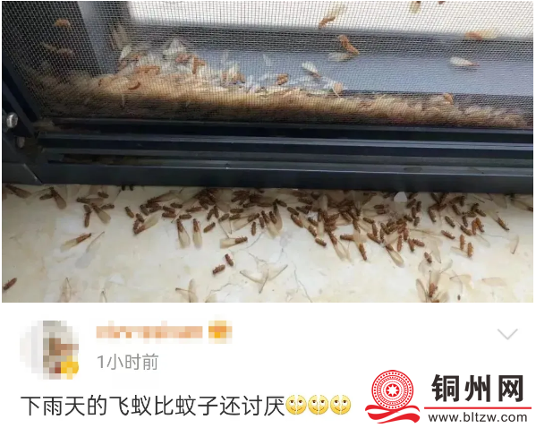 aeeab6ceed38dea79dfe4860fc0d658c.png