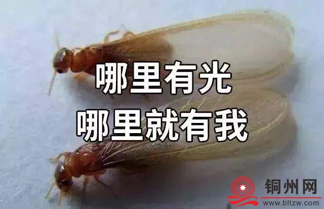 8fdafcd3350a9465227c98bf0404a9f8.jpg