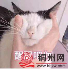 5abe1ef2447ce9702b6d89c21202fa9d.jpg