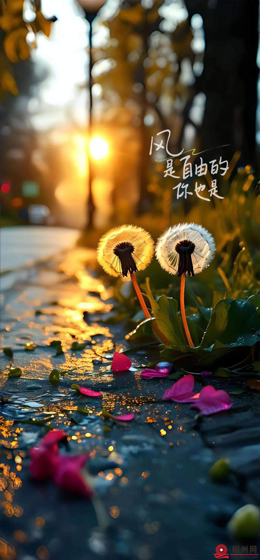 wechat_upload17482144916833a2db2edf6