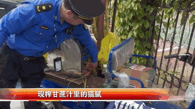 66ec1242f3f7a56a3a419505d9517573.gif