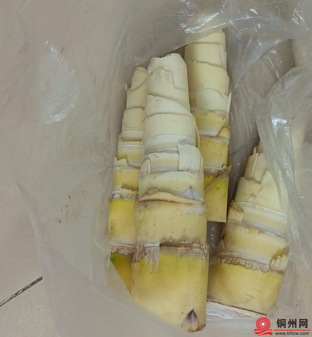 自己动手做酸笋