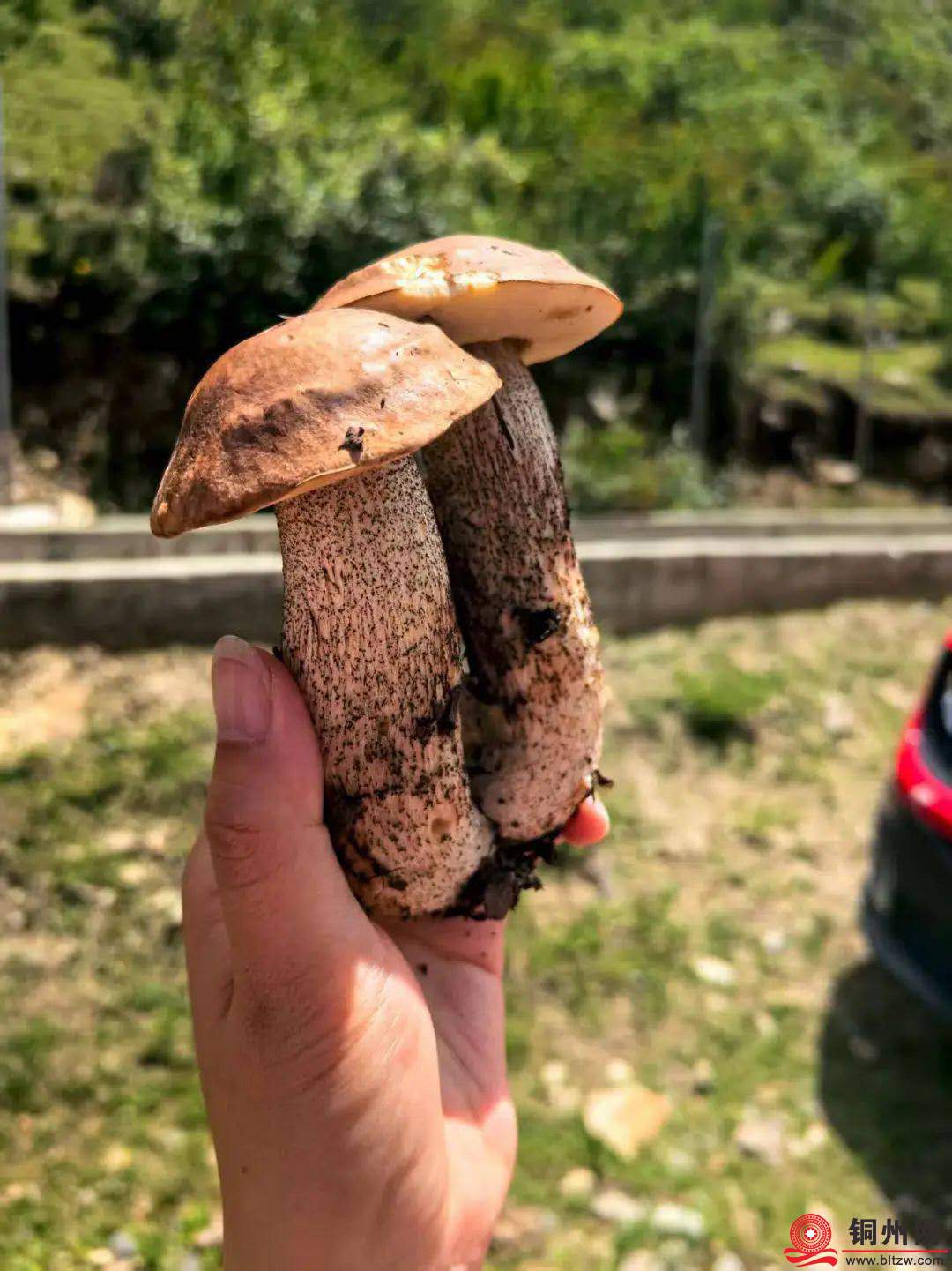 wechat_upload1752651999687758df7b47c