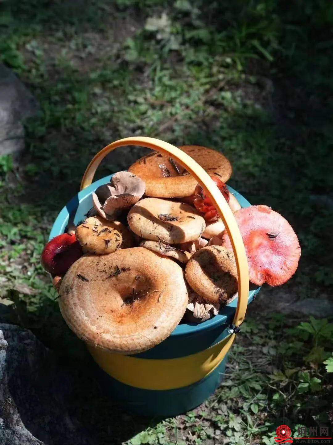 wechat_upload1752652000687758e0bd859