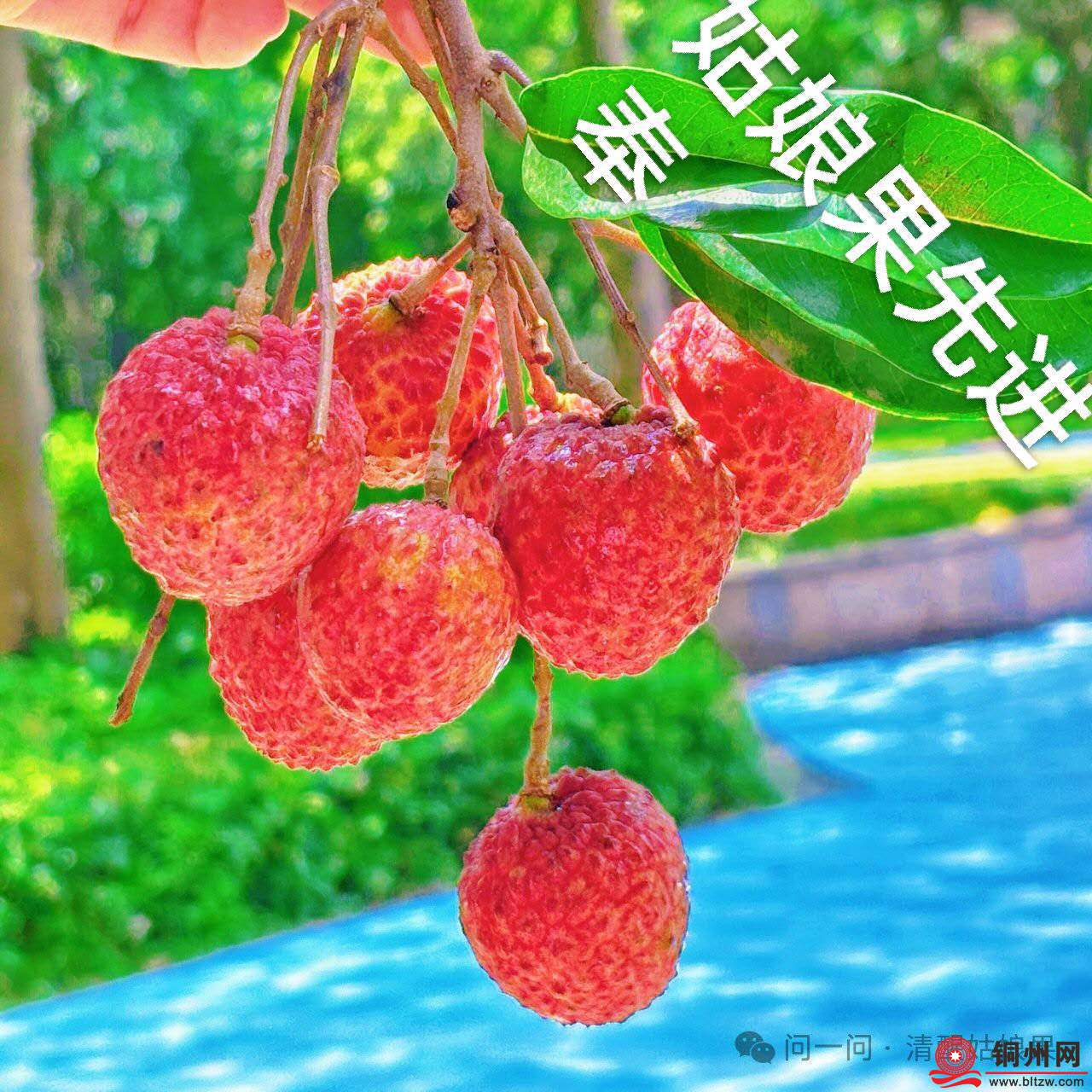 wechat_upload17526829306877d1b221f16