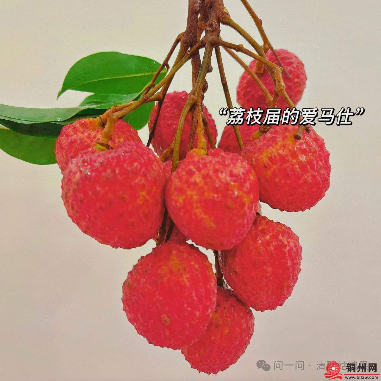 wechat_upload17526829306877d1b2c82be