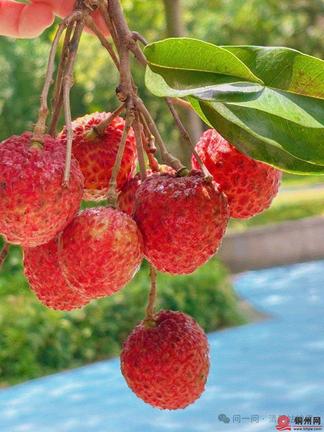 wechat_upload17526829316877d1b3776e8