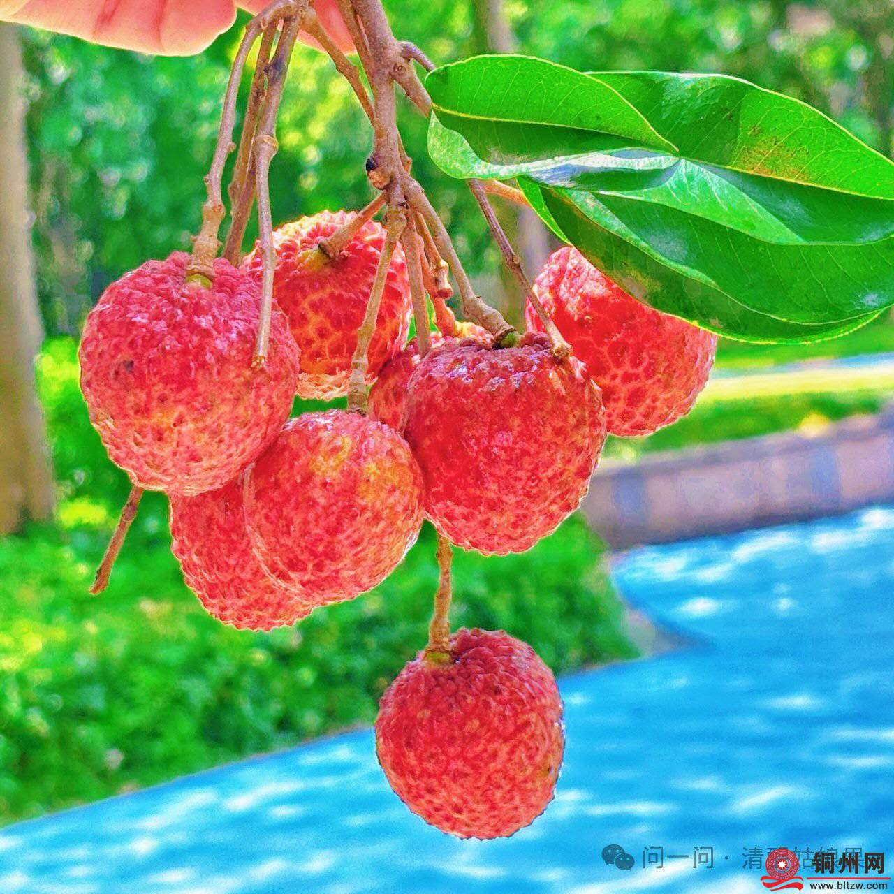 wechat_upload17526829326877d1b430a2f