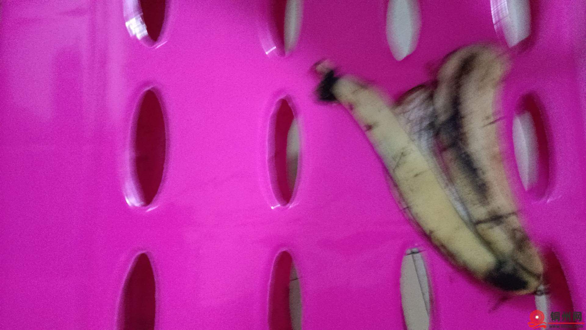 wechat_upload17543924786891e79e2ee91