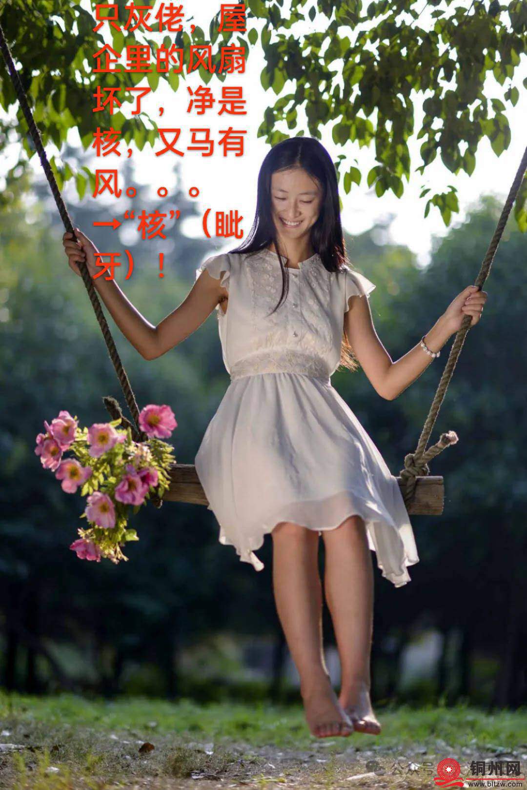 wechat_upload175775238368c52c3fb8a35