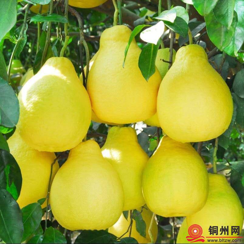 wechat_upload175968181668e29d18656cc