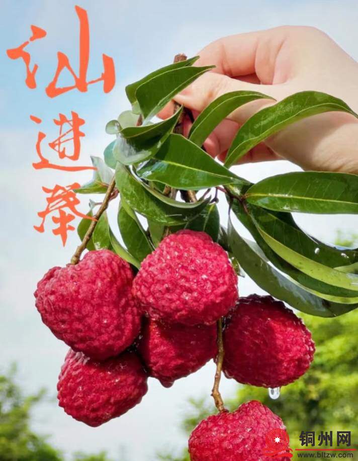 wechat_upload1762431877690c9385dd8ba