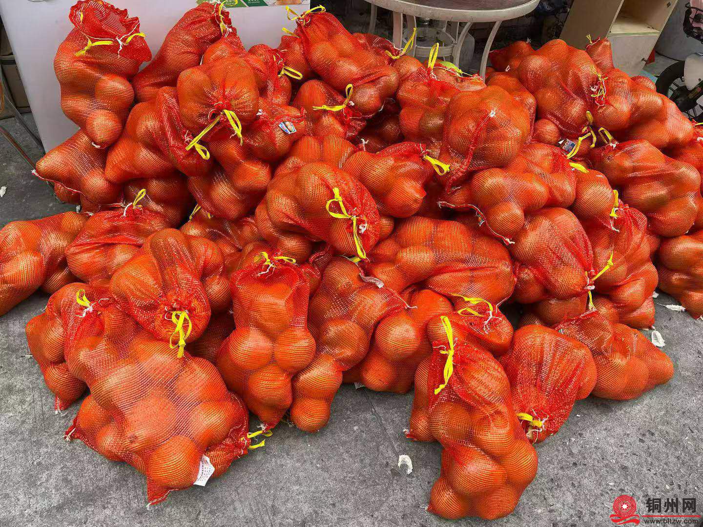 wechat_upload1762519639690dea57b507b