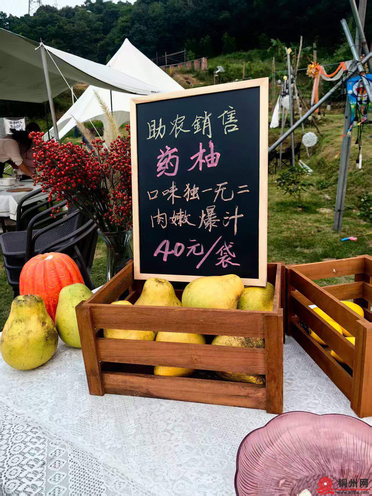 wechat_upload1762519639690dea5708586