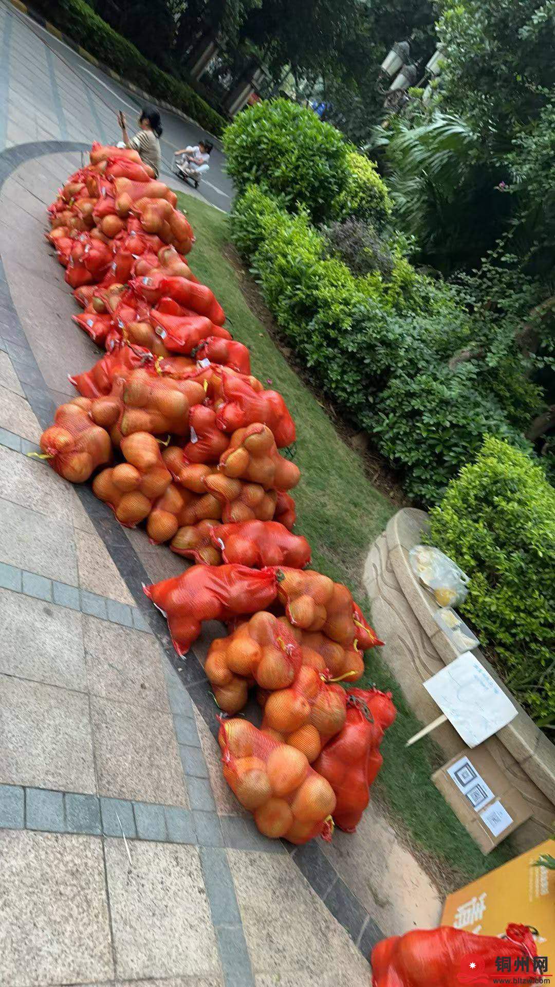 wechat_upload1762519640690dea587b01f