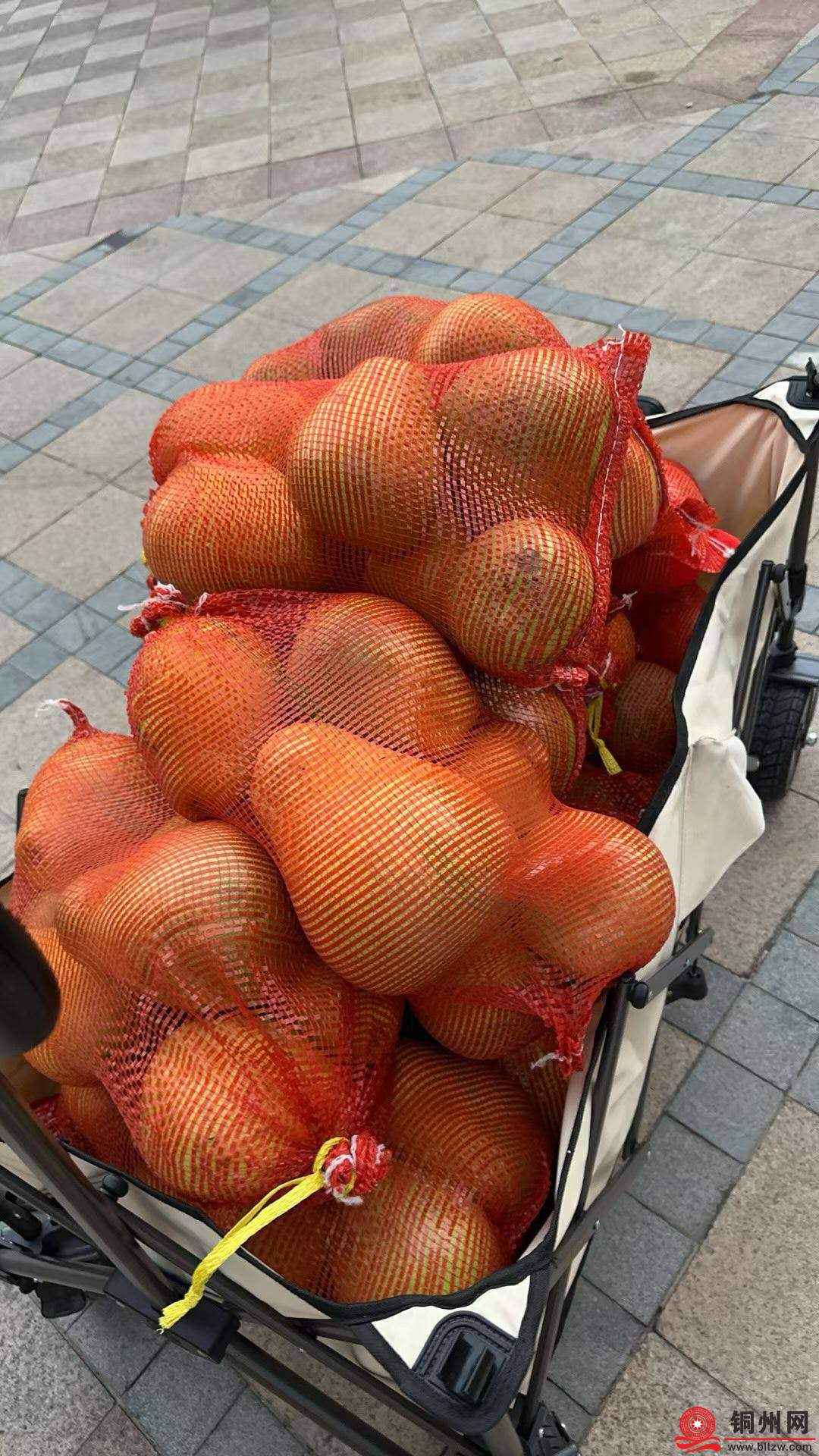 wechat_upload1762519641690dea59d1c65