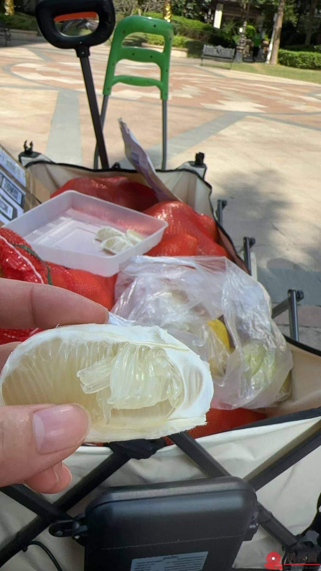 wechat_upload1762519643690dea5bc4921