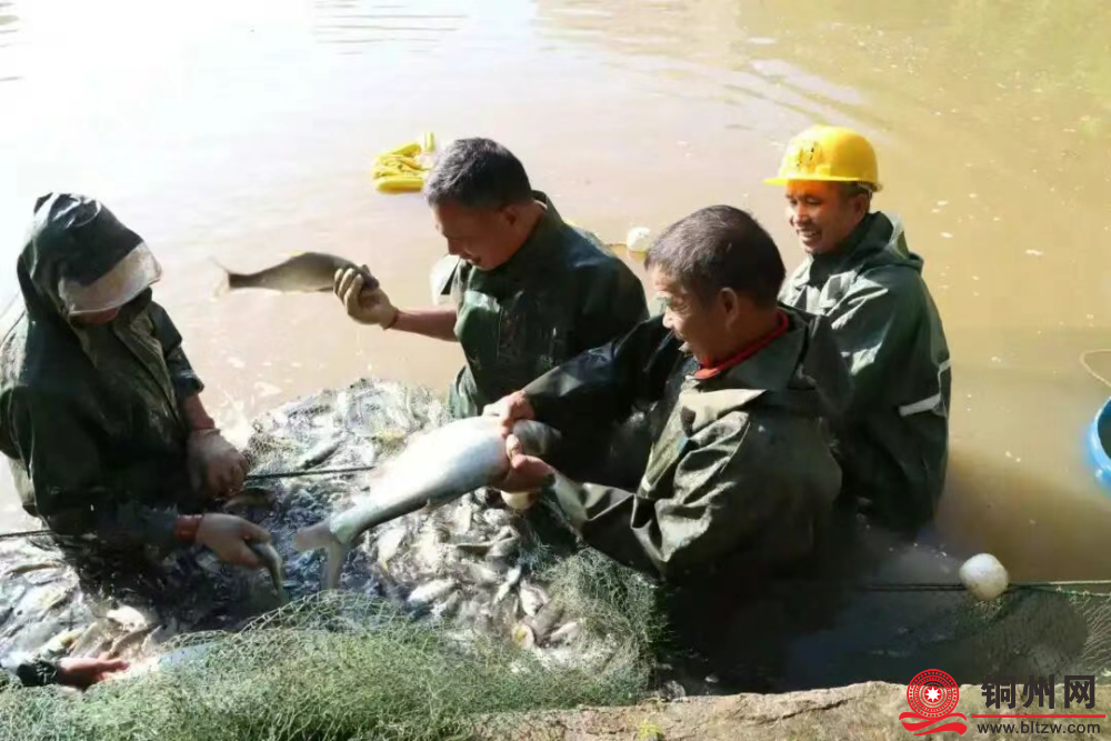 校园变“渔场” 师生共欢腾 接地气！校庆请全校师生吃“鱼宴”