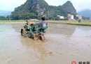 北流“农忙”图片分享