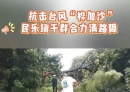 突发！台风刮倒大树电杆堵路 村民干部携手紧急清障