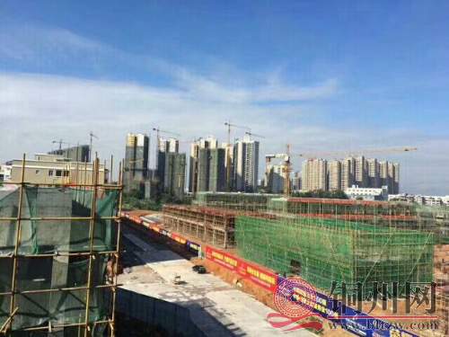 2EF2035F-2D41-4A48-8437-8300A38FE885.jpeg