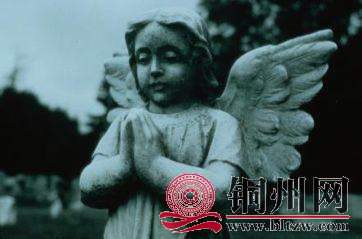 A2C6E05E7C86F05AB2E2484E0C8E05640906C1CBD_size12_w362_h239.jpeg